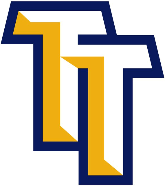 Torrington Titans 2011-Pres Cap Logo iron on transfers for T-shirts
